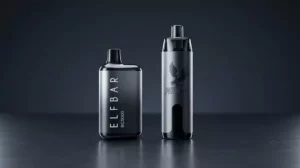 Elf Bar vs Flyto Disposables Comparison: An Honest Guide for Dhaka Vapers