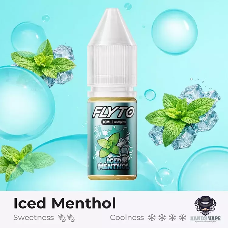 FLYTO 10ML NIC SALT E-LIQUID - Iced Menthol